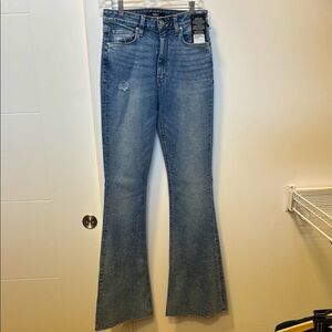 Hudson Jeans Blue Flare Wide Leg Denim